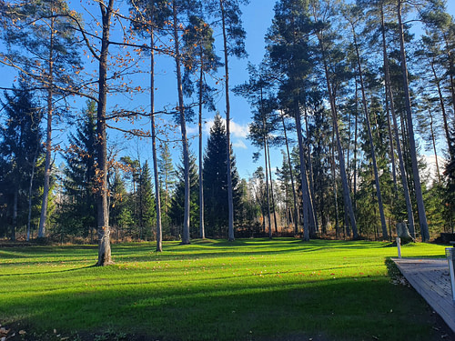 Apzaļumošanas darbi Vālodzēs